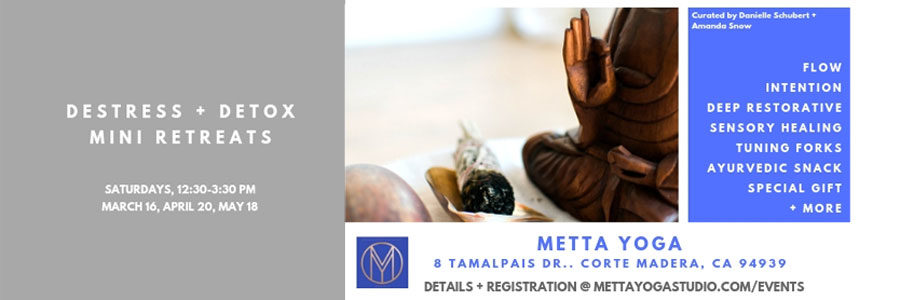 metta yoga detox retreat